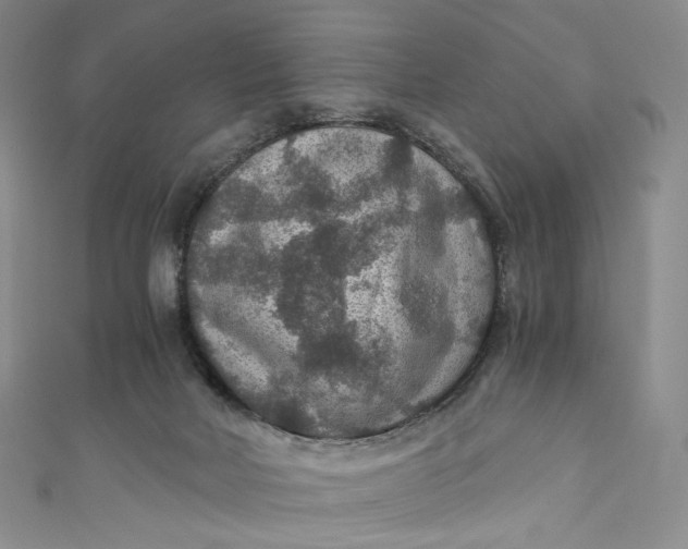 X0000110890026200907021526