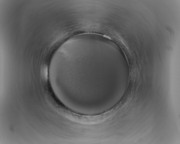 X0000110890027200907021526