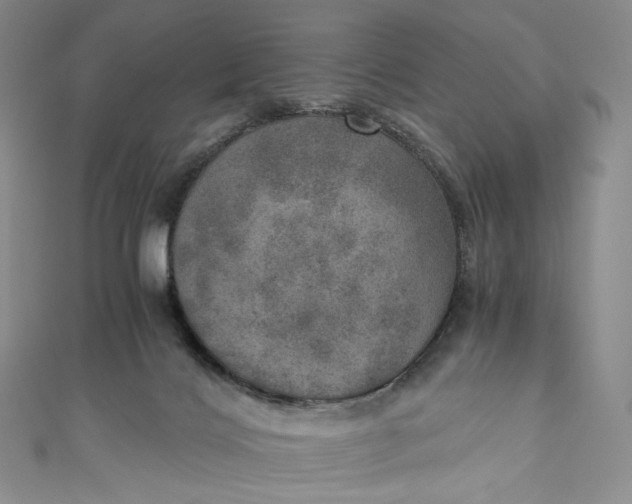 X0000110890028200907021526