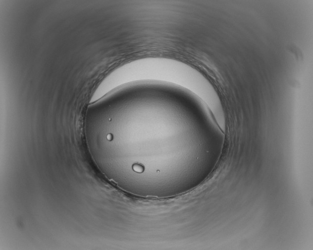 X0000110890029200907021526