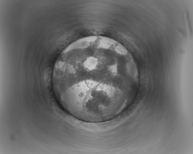 X0000110890030200907021526