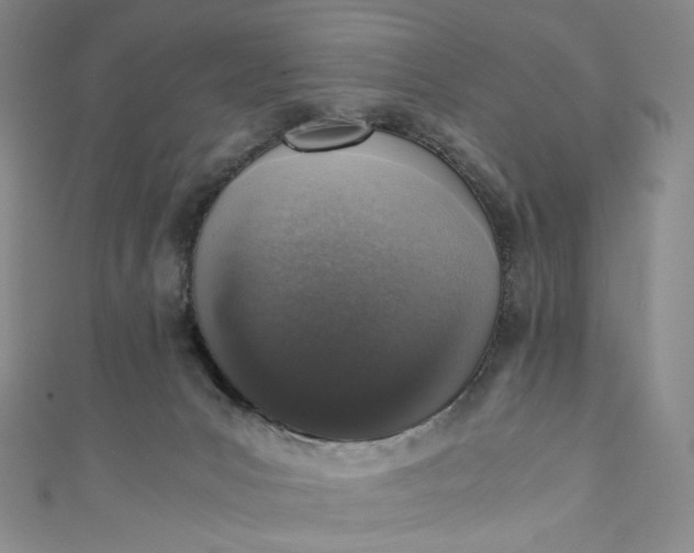 X0000110890031200907021526