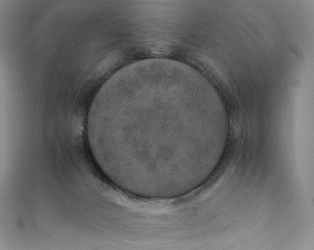 X0000110890032200907021526