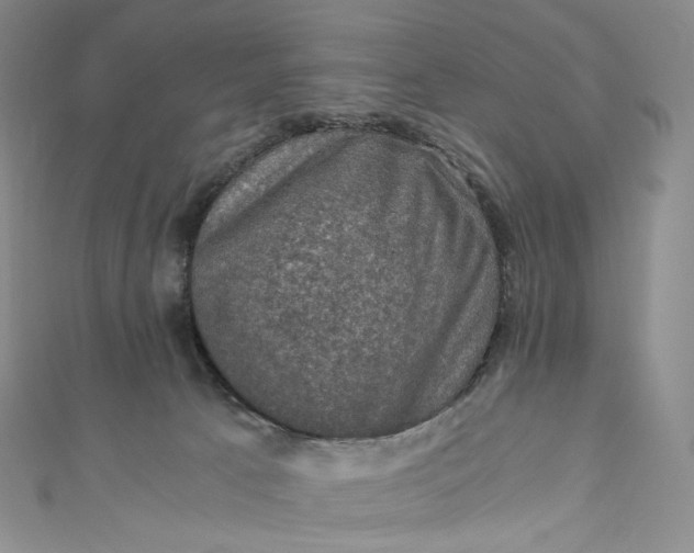 X0000110890033200907021526