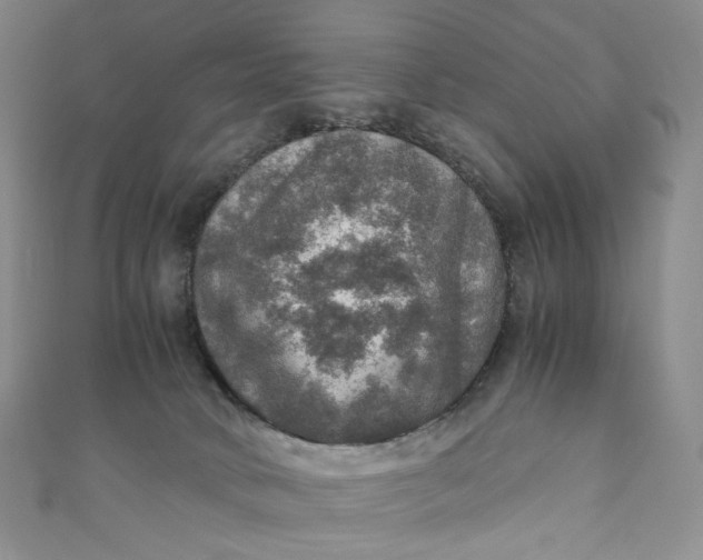 X0000110890034200907021526