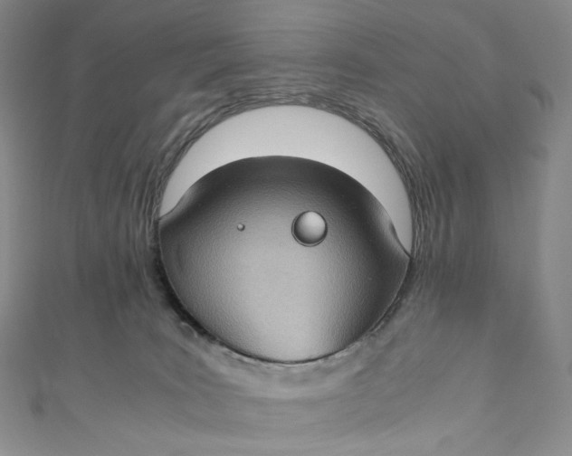 X0000110890035200907021526