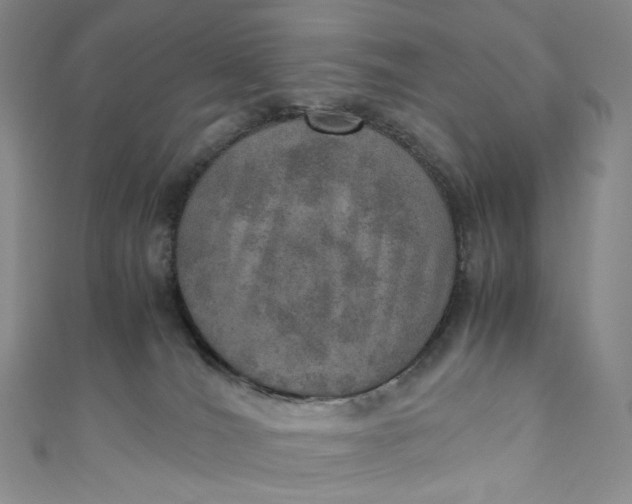 X0000110890036200907021526