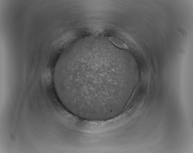 X0000110890037200907021526