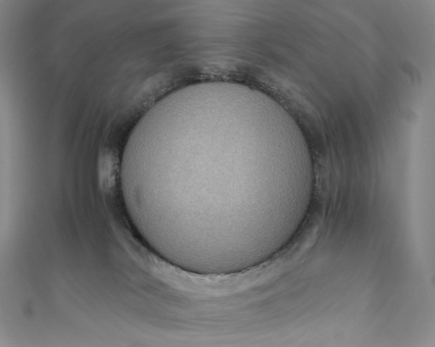 X0000110890038200907021526