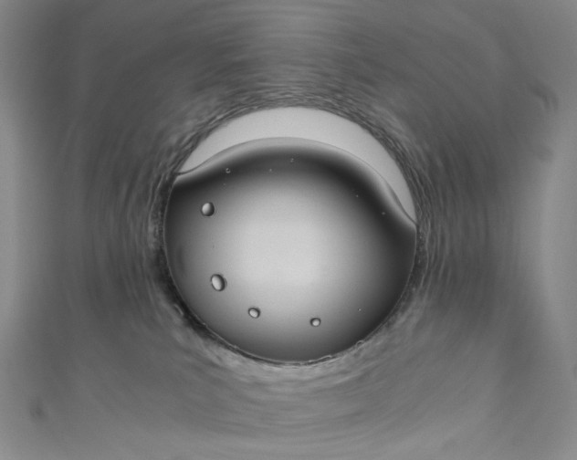 X0000110890039200907021526