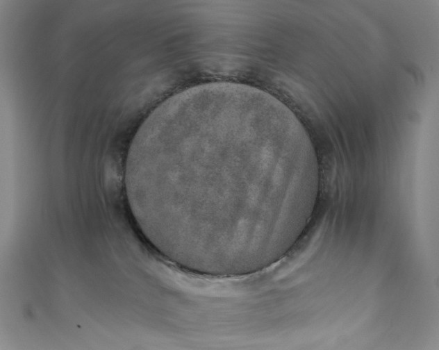 X0000110890040200907021526