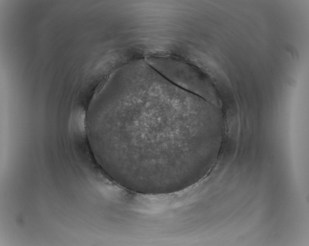 X0000110890041200907021526