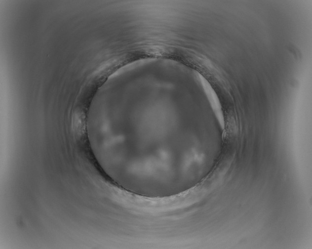 X0000110890043200907021526