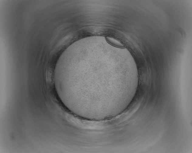 X0000110890044200907021526