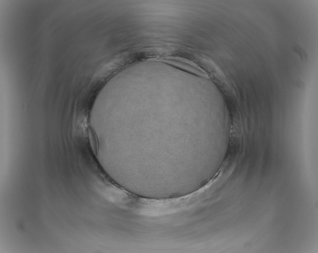 X0000110890045200907021526