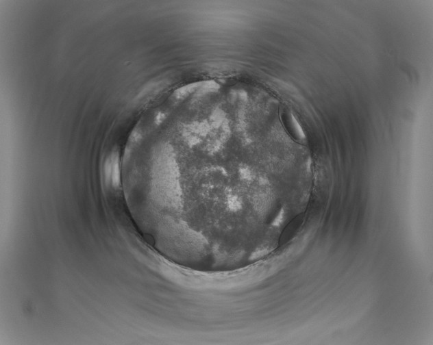 X0000110890046200907021526