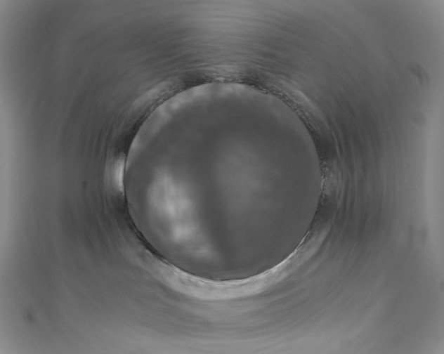 X0000110890047200907021526