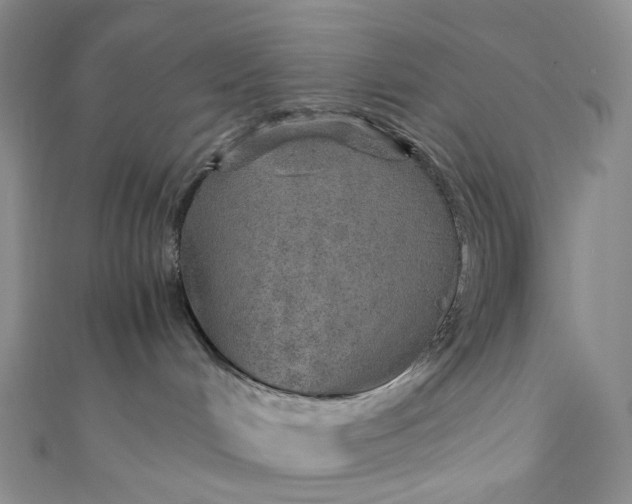 X0000110890048200907021526