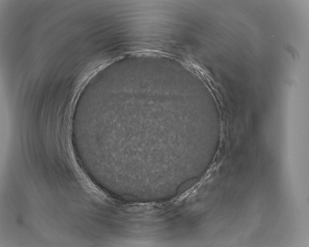 X0000110890049200907021525