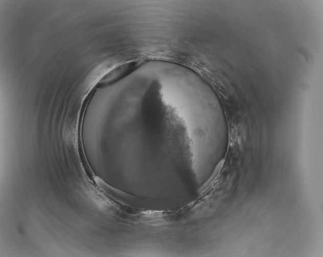 X0000110890052200907021525