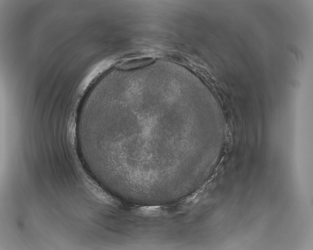 X0000110890054200907021525