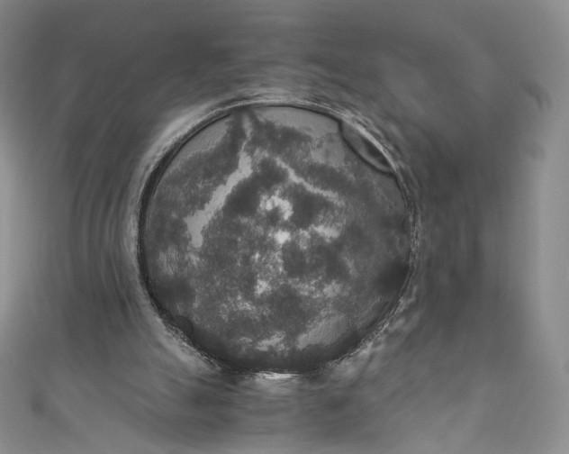 X0000110890055200907021525