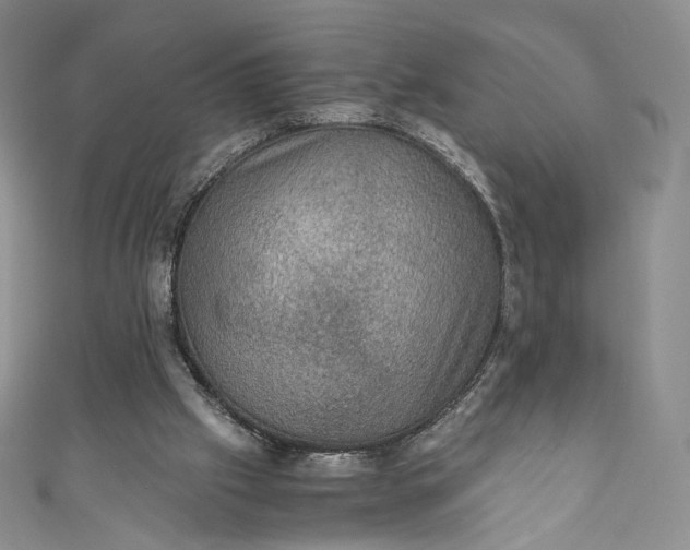 X0000110890057200907021525