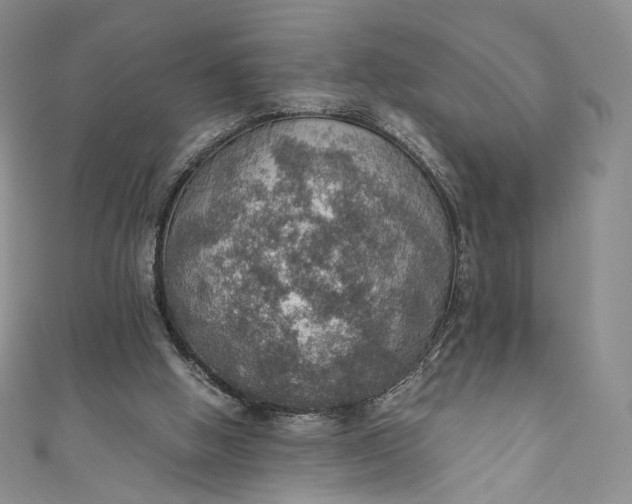 X0000110890058200907021525