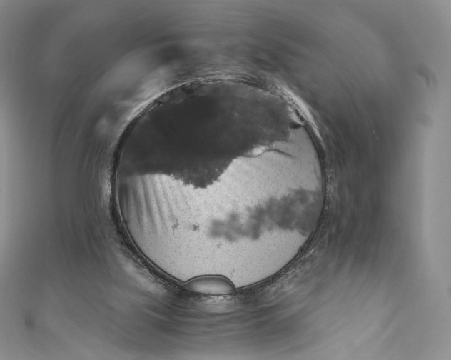 X0000110890059200907021526