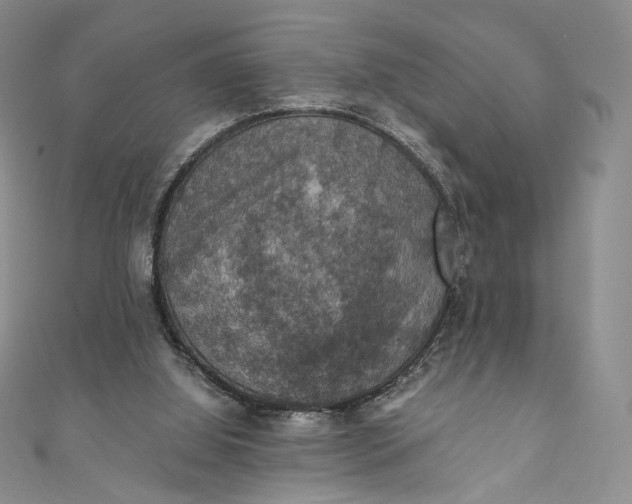 X0000110890060200907021526