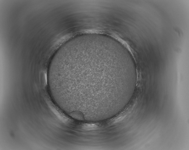 X0000110890061200907021526