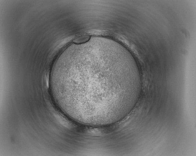 X0000110890062200907021526