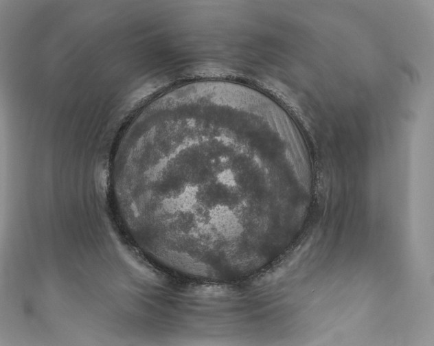 X0000110890063200907021526