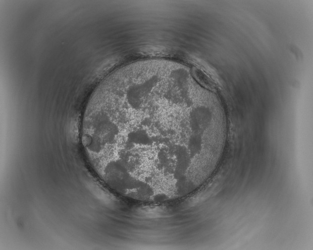 X0000110890065200907021526