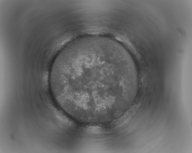 X0000110890066200907021526