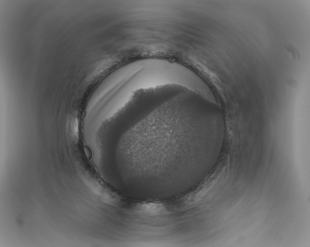 X0000110890067200907021526