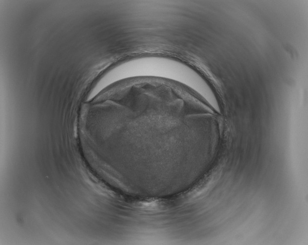 X0000110890068200907021526