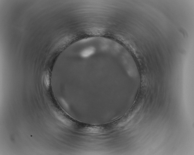 X0000110890069200907021526