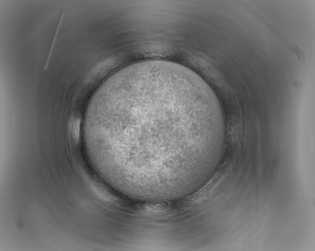 X0000110890070200907021526