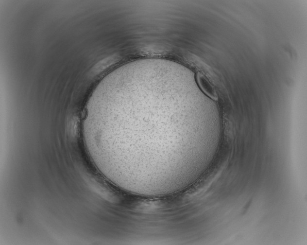 X0000110890071200907021526