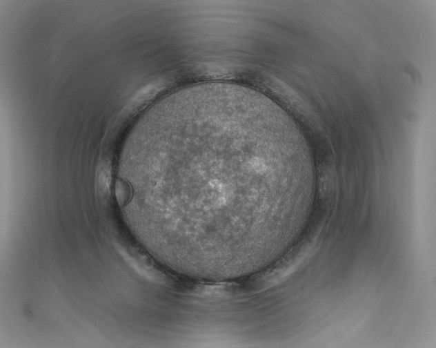 X0000110890072200907021526