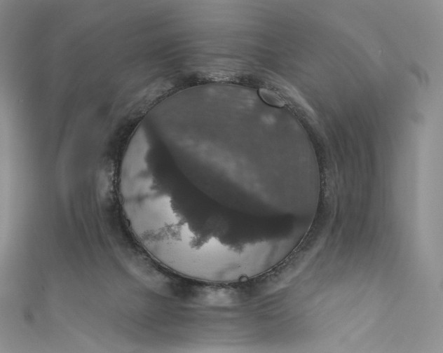 X0000110890073200907021526