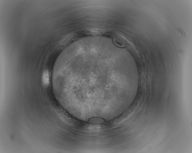 X0000110890075200907021526