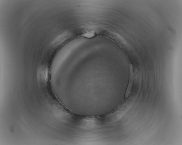 X0000110890076200907021526