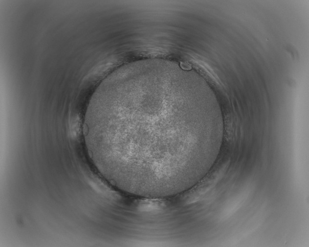 X0000110890077200907021526