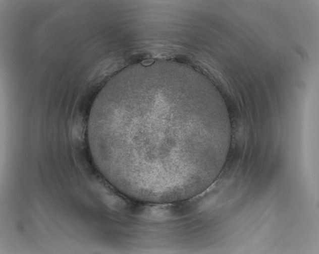 X0000110890078200907021526