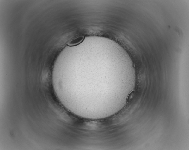 X0000110890079200907021526