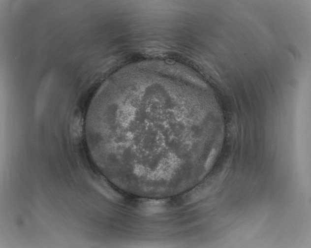 X0000110890081200907021526