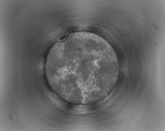 X0000110890082200907021526