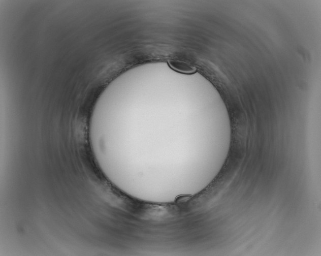 X0000110890083200907021526